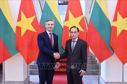 Việt Nam coi trọng và mong muốn tăng cường hợp tác nhiều mặt với Litva