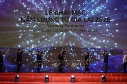 Khai mạc năm lượng tử Gia Lai 2026