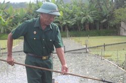 Cựu chiến binh quê Bác làm kinh tế thành công từ mô hình nuôi ốc bươu đen