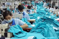 DN chủ động truy xuất nguồn gốc trong chuỗi cung ứng