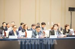Việt Nam sẵn s&agrave;ng c&ugrave;ng c&aacute;c nền kinh tế APEC chia sẻ kinh nghiệm, th&uacute;c đẩy hợp t&aacute;c về quản l&yacute; rừng bền vững