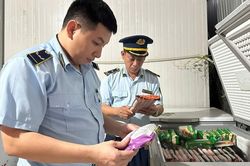 Sửa Luật An toàn thực phẩm - Bài 2: Người tiêu dùng sẽ được bảo vệ như thế nào?