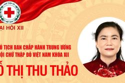 B&agrave; Đỗ Thị Thu Thảo t&aacute;i đắc cử Chủ tịch Trung ương Hội Chữ thập đỏ Việt Nam kh&oacute;a XII