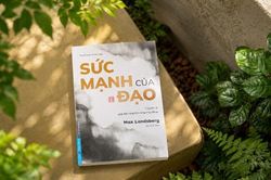 'Sức mạnh của Đạo' - Từ chiếc dằm pizza đến nghệ thuật sống trong dòng chảy
