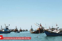 L&acirc;m Đồng quản l&yacute; 100% t&agrave;u c&aacute; tr&ecirc;n VNFishbase