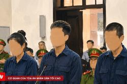Ba bị c&aacute;o tổ chức sử dụng tr&aacute;i ph&eacute;p chất ma t&uacute;y lĩnh &aacute;n