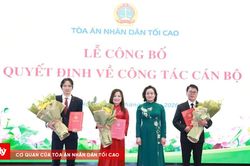 Tòa án nhân dân tối cao công bố các quyết định bổ nhiệm lãnh đạo Báo Công lý và Tạp chí Tòa án nhân dân