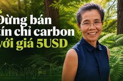 Đừng bán tín chỉ carbon với giá 5USD