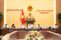 Xem xét cơ chế đặc thù cho khu đô thị lấn biển Đà Nẵng