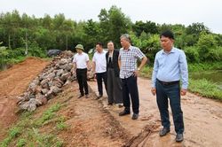 Bắc Ninh: Khẩn trương thực hiện các hạng mục, sử dụng hiệu quả kinh phí khắc phục hậu quả thiên tai tại xã Tam Tiến