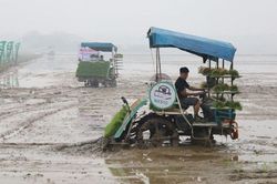 Bắc Ninh: Nghiệm thu 7 mô hình thử nghiệm, khảo nghiệm giống cây trồng, vật nuôi