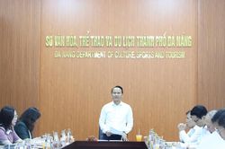 Sở Văn hóa, Thể thao và Du lịch Đà Nẵng hoàn thành đúng hạn nhiệm vụ đạt 87,8%