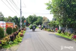 Phú Vinh nỗ lực xây dựng nông thôn mới
