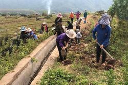 Chủ động nguồn nước sinh hoạt, sản xuất