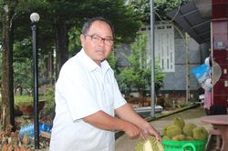 'Thủ phủ' sầu riêng với nỗi lo thời tiết