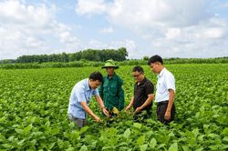 Nam Dong hướng đến nền nông nghiệp an toàn, nâng cao giá trị nông sản