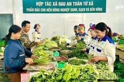 Liên kết vùng- tăng hiệu quả tiêu thụ nông sản