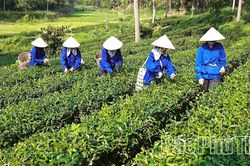 Chuyển đổi xanh - 'Tấm vé thông hành' ra thị trường thế giới