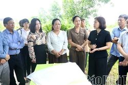 Bảo tồn, phát huy giá trị các di tích trên địa bàn tỉnh Phú Thọ