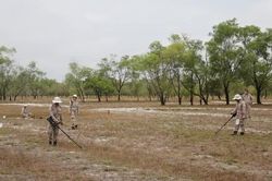 Hãy nhìn về Quảng Trị-Look to Quang Tri