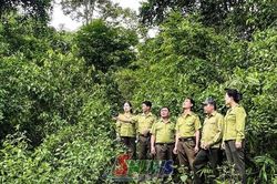Giữ rừng gắn với bảo tồn đa dạng sinh học