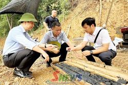 Đồng chí Phó chủ tịch UBND tỉnh kiểm tra mỏ khoáng sản than tại xã Phù Yên