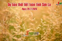 Dự b&aacute;o thời tiết to&agrave;n tỉnh Sơn La ng&agrave;y 29/7/2026