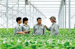 Quy định mới về đăng ký tổ hợp tác, hợp tác xã, liên hiệp hợp tác xã