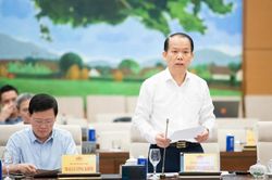 Điều chỉnh mức đặt cọc đấu giá đất để ngăn chặn tình trạng nâng giá, bỏ cọc