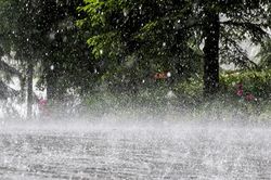 Dự báo thời tiết ngày 28/7: Mưa lớn bao trùm nhiều khu vực