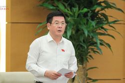 Ủy ban Thường vụ Quốc hội cho ý kiến về định hướng chính sách sửa đổi Luật Đất đai 2024