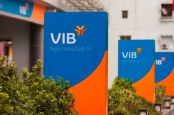 Mảng dịch vụ tăng gần 3 lần, lợi nhuận quý 2/2026 của VIB vẫn đi lùi