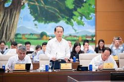 Luật Phát triển đô thị: Phân quyền triệt để cho TP HCM và các đô thị đặc biệt