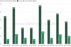 Hưởng lợi từ giá bán, lãi quý 2/2026 của Cao su Đồng Phú tăng 60%