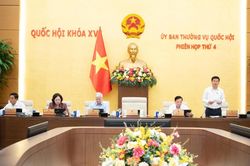 Bịt lỗ hổng 'thổi giá', bỏ cọc và kiến tạo thị trường minh bạch