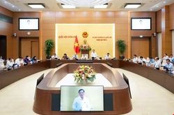 Tạo động lực ph&aacute;t triển cho TP Hồ Ch&iacute; Minh v&agrave; c&aacute;c đ&ocirc; thị đặc biệt