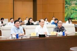 Đề xuất nâng tiền cọc lên 50%, cấm người 'bỏ cọc' tham gia đấu giá quyền sử dụng đất