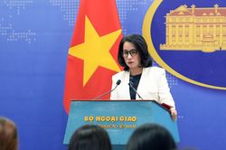 Chưa ghi nhận công dân Việt Nam bị thương vong trong động đất tại Kumamoto (Nhật Bản)