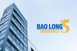 Lãi quý II gấp 20 lần cùng kỳ, vì sao lợi nhuận bán niên của Bảo hiểm Bảo Long (BLI) vẫn sụt giảm?