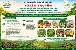 Bảo Đài đưa nông nghiệp hữu cơ vươn tầm toàn quốc