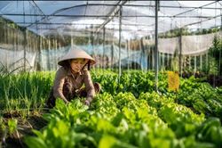 Đề cử điển hình tiên tiến góp sức phát triển nông nghiệp hữu cơ toàn quốc