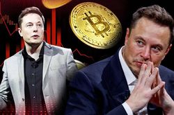 Elon Musk tự nhận 'cựu nghìn tỷ phú' sau khi cổ phiếu lao dốc