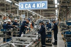 '3 ca 4 k&iacute;p' l&agrave; g&igrave;?
