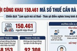 H&agrave; Nội c&ocirc;ng khai hơn 150.000 m&atilde; số thuế cần r&agrave; so&aacute;t, xử l&yacute;