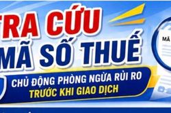 Chiến dịch l&agrave;m sạch m&atilde; số thuế: Những đối tượng cần chủ động r&agrave; so&aacute;t?