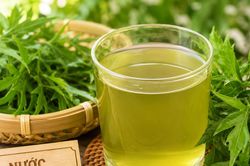 Hướng dẫn nấu nước lá đinh lăng đúng cách