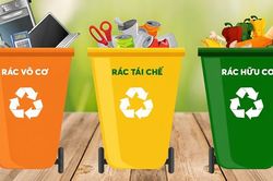 Hướng dẫn phân loại và xử lý rác thải sinh hoạt tại nhà giúp không gian sống xanh - sạch - đẹp