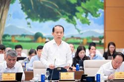 Đề xuất Luật Ph&aacute;t triển đ&ocirc; thị: Ph&acirc;n quyền mạnh để tạo đột ph&aacute; cho TPHCM