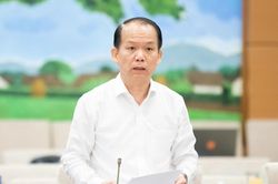 Sửa đổi toàn diện Luật Đấu giá tài sản, tăng minh bạch và ngăn chặn trục lợi