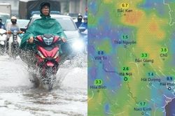 Dự báo Hà Nội mưa kéo dài sang đầu tháng 8, thời tiết mát mẻ
